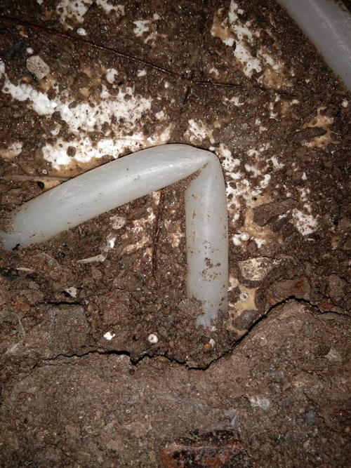 桑植堵点精准查找