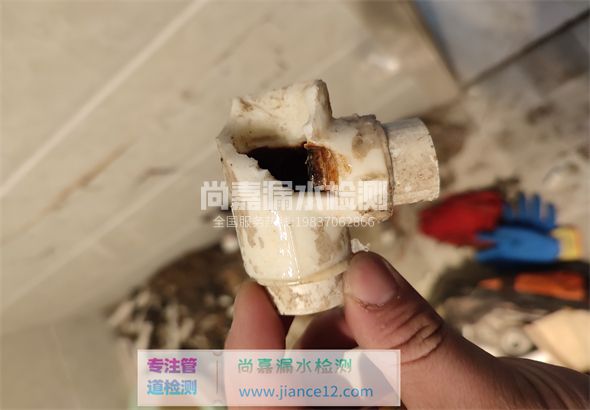 桑植引起漏水的原因有哪些？